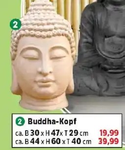 Thomas Philipps Buddha-Kopf Angebot