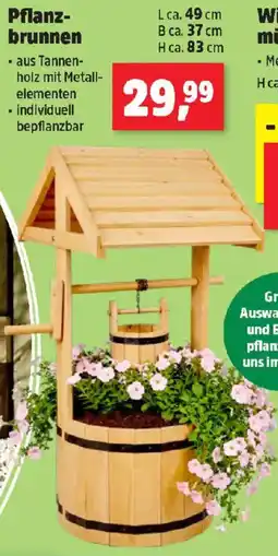 Thomas Philipps Pflanz- brunnen Angebot
