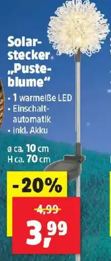 Thomas Philipps Solar- stecker. Puste- blume Angebot