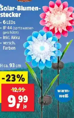 Thomas Philipps Solar-Blumen- stecker Angebot