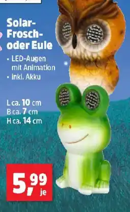 Thomas Philipps Solar- Frosch- oder Eule Angebot