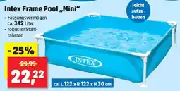 Thomas Philipps Intex frame pool mini Angebot