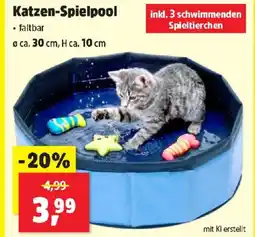 Thomas Philipps Katzen-Spielpool Angebot