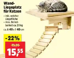 Thomas Philipps Wand- Liegeplatz für Katzen Angebot