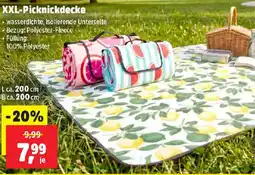 Thomas Philipps XXL-Picknickdecke Angebot