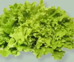 MPreis Gentile Salat Angebot