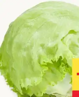 MPreis M Eissalat Angebot