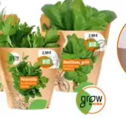 OBI Grow by Obi Bio Kräuter Angebot