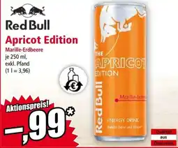 Norma Red Bull The Apricot Edition Angebot