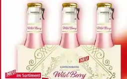 Norma Conte Passione Wild Berry Angebot