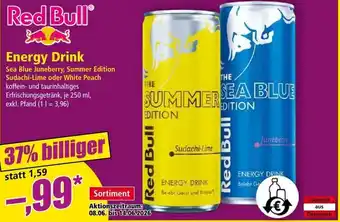 Norma Red Bull Energy Drink Angebot