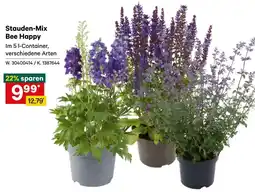 Lagerhaus Stauden-Mix Bee Happy Angebot
