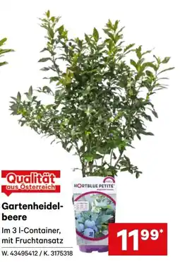 Lagerhaus Gartenheidel- beere Angebot