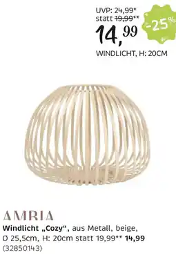 XXXLutz Windlicht Angebot