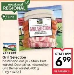 Maximarkt Grill Selection Angebot