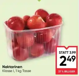 Maximarkt Nektarinen Angebot
