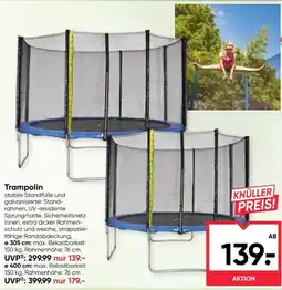 Maximarkt Trampolin Angebot