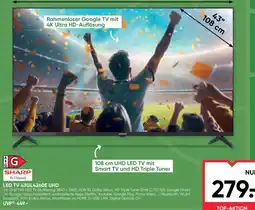 Maximarkt LED TV 43GL4260E UHD Angebot