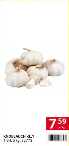 Transgourmet Knoblauch Angebot