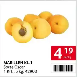 Transgourmet Marillen kl.1 Angebot