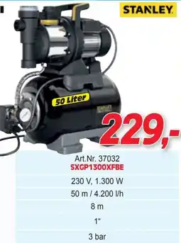 Zgonc Hauswasserwerke SXGP1300XFBE Angebot