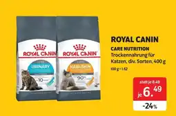 Das Futterhaus Royal canin Angebot
