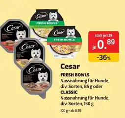 Das Futterhaus Cesar fresh bowls oder classic Angebot