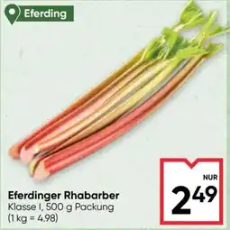 Maximarkt Eferdinger Rhabarber Angebot
