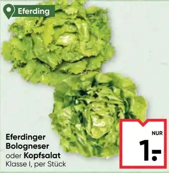 Eferdinger Bologneser oder Kopfsalat
