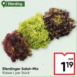 Maximarkt Eferdinger Salat-Mix Angebot