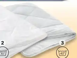 Matratzen Concord Mono-Steppbett Kamelhaar Angebot