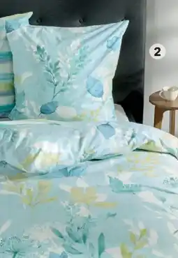Matratzen Concord Renforcé Bettwäsche Angebot