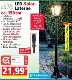 Norma LED-Solar-laterne Angebot