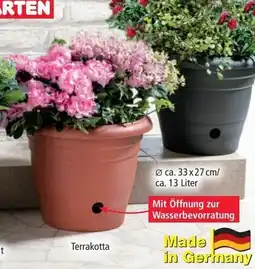 Norma Lebensmittel-Diskonter Angebot