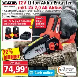 Norma WALTER 12V Li-Ion Akku-Entaster Angebot