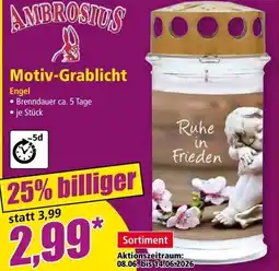 Norma Motiv-Grablicht Angebot