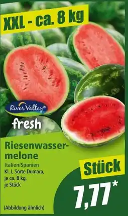 Norma Riesenwasser- melone Angebot