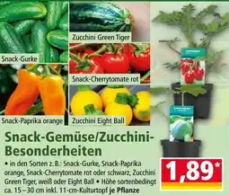 Norma Snack-Gemüse/Zucchini- Besonderheiten Angebot