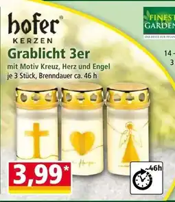 Norma Grablicht 3er Angebot