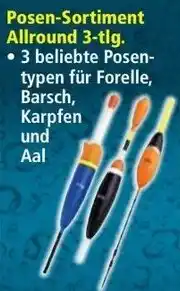 Norma Posen-Sortiment Allround 3-tlg. Angebot