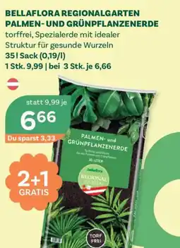 Bellaflora Bellaflora regionalgarten palmen- und grünpflanzenerde Angebot