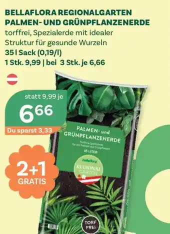 Bellaflora regionalgarten palmen- und grünpflanzenerde