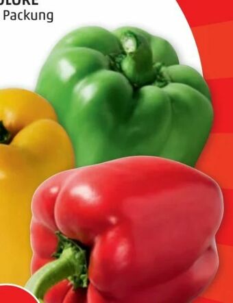 PENNY Paprika Tricolore Angebot