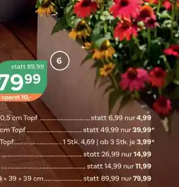 Bellaflora Pflanzkasten 'millennium Angebot