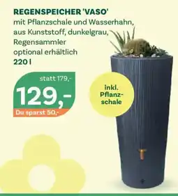 Bellaflora Regenspeicher vaso Angebot