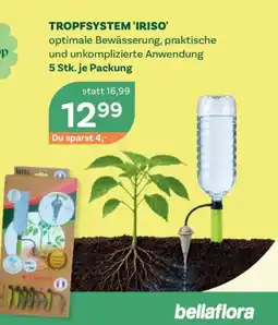 Bellaflora Tropfsystem iriso Angebot