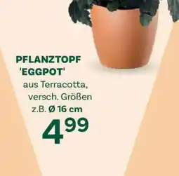 Bellaflora Pflanztopf eggpot Angebot