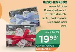 Bellaflora Geschenkbox Angebot