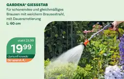 Bellaflora Gardena® giessstab Angebot