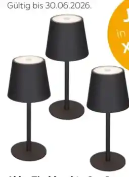 XXXLutz Novel LED-Akku-Tischleuchte Angebot